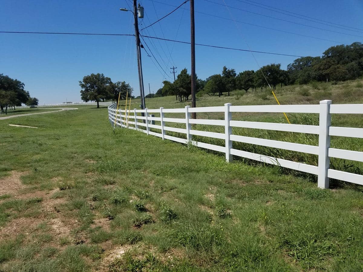 Vinyl Corral (C21)