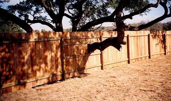 Cedar Privacy (R24)