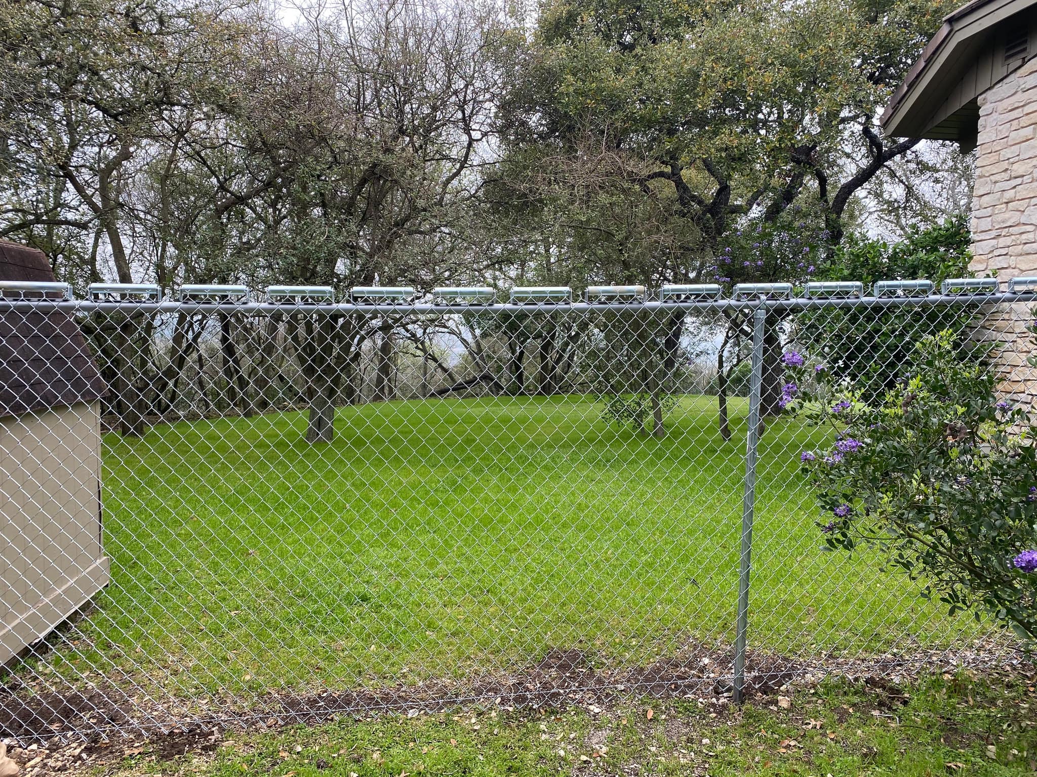 Galvanized chain link fence with rollers along the top rail, around a backyard lawn