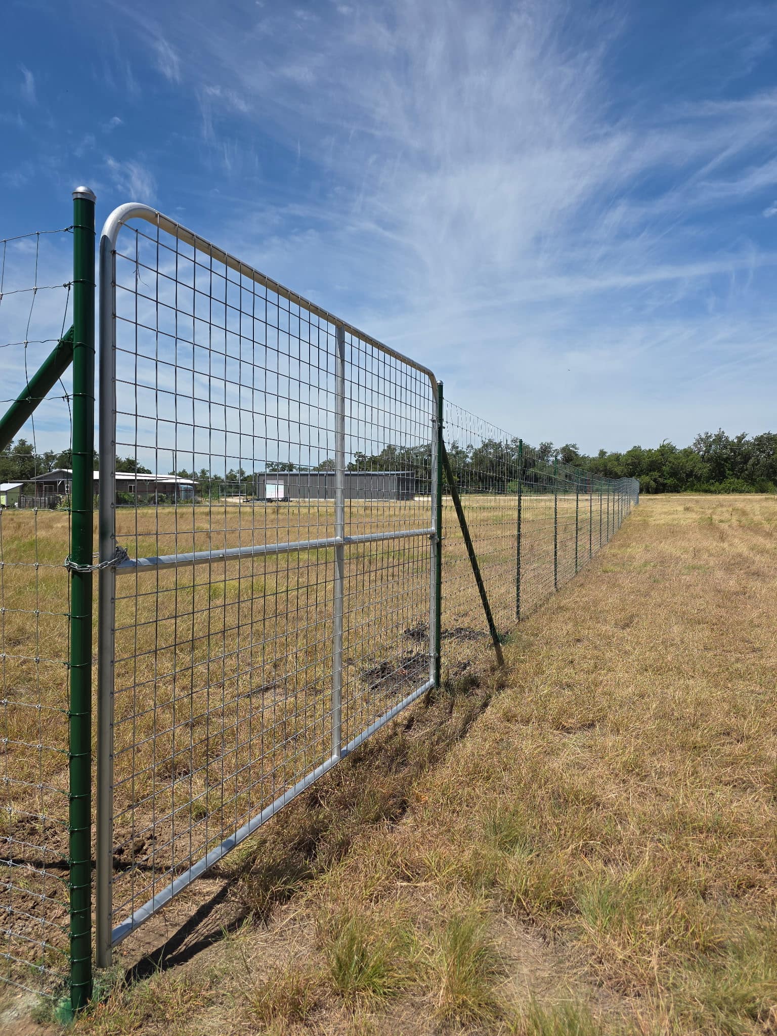 Galvanized pipe gate with a wire-panel fill in a long woven-wire field fence on green steel posts, across open pasture