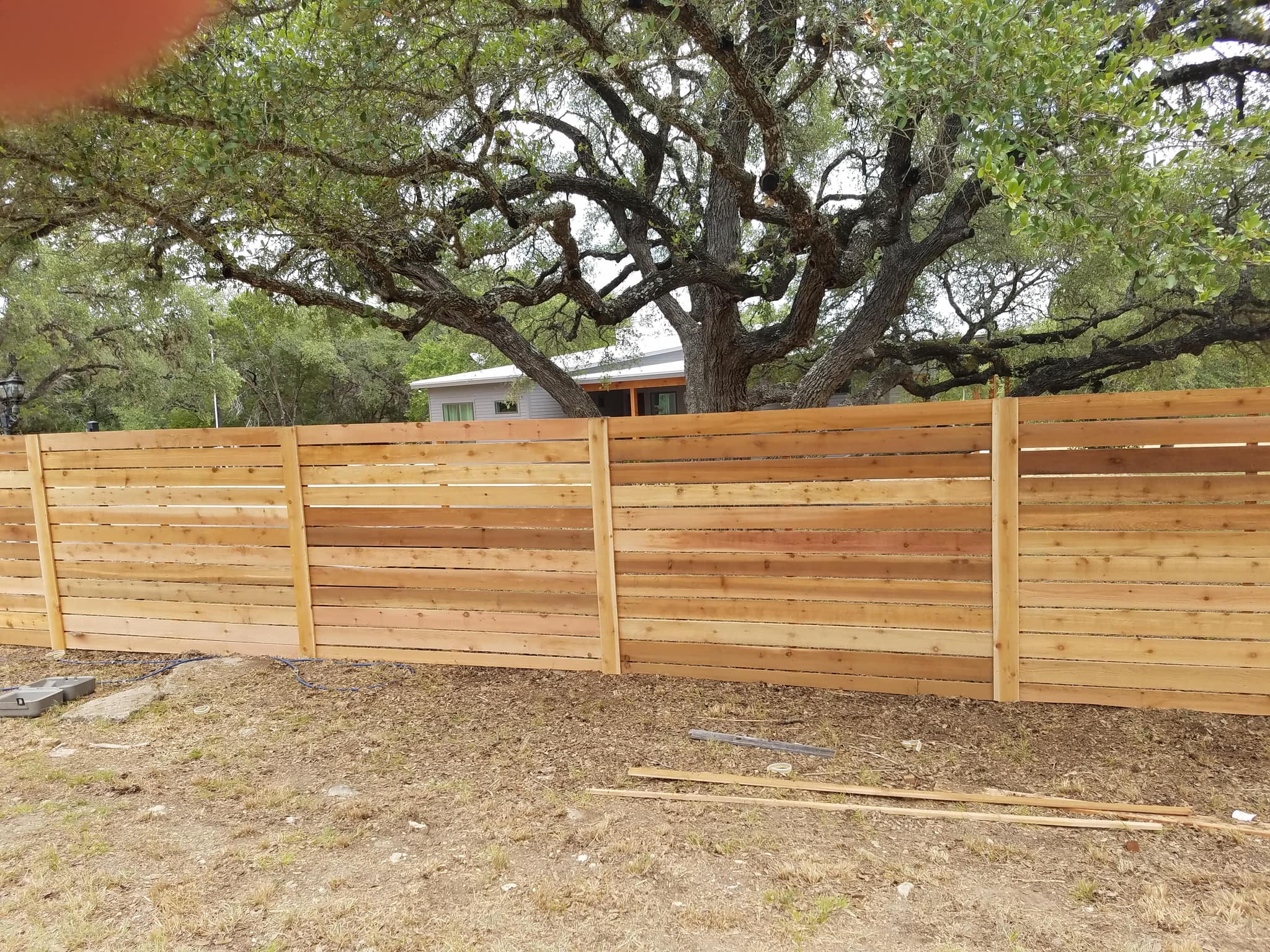 Horizontal cedar board fence beneath a large oak