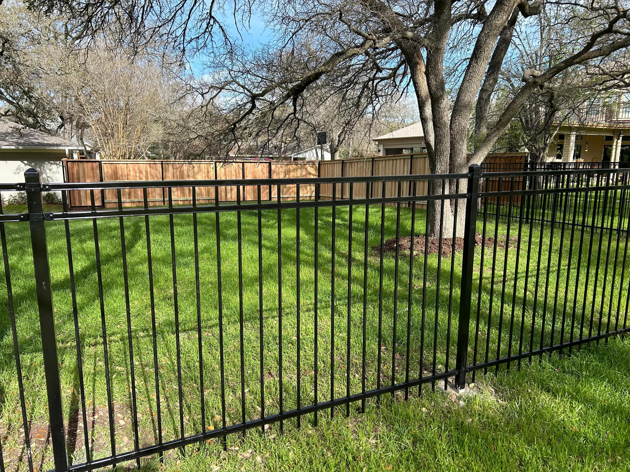Black iron fence across a green lawn, with a cedar privacy fence behind