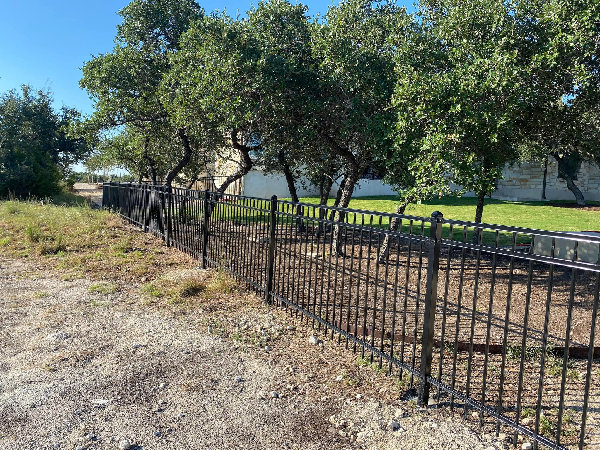 Black iron fence running under oak trees around a yard