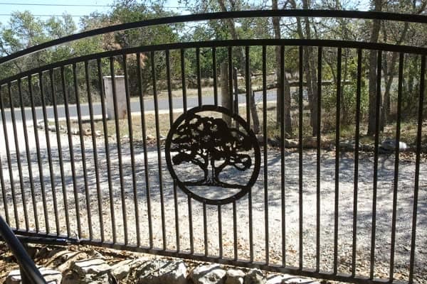 Arched iron gate with a cut-out live oak medallion