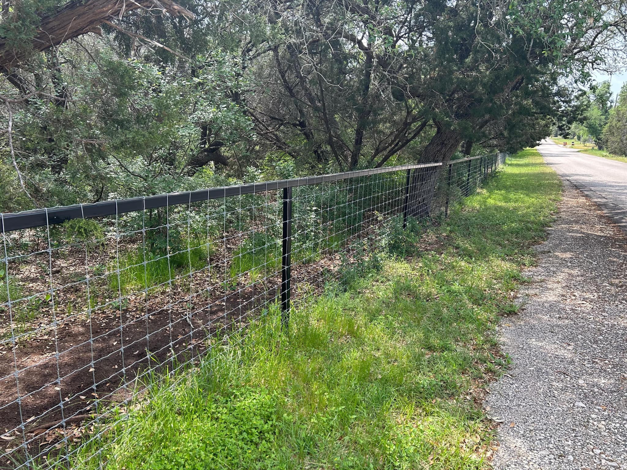 Welded-wire fence on black steel posts along a gravel lane