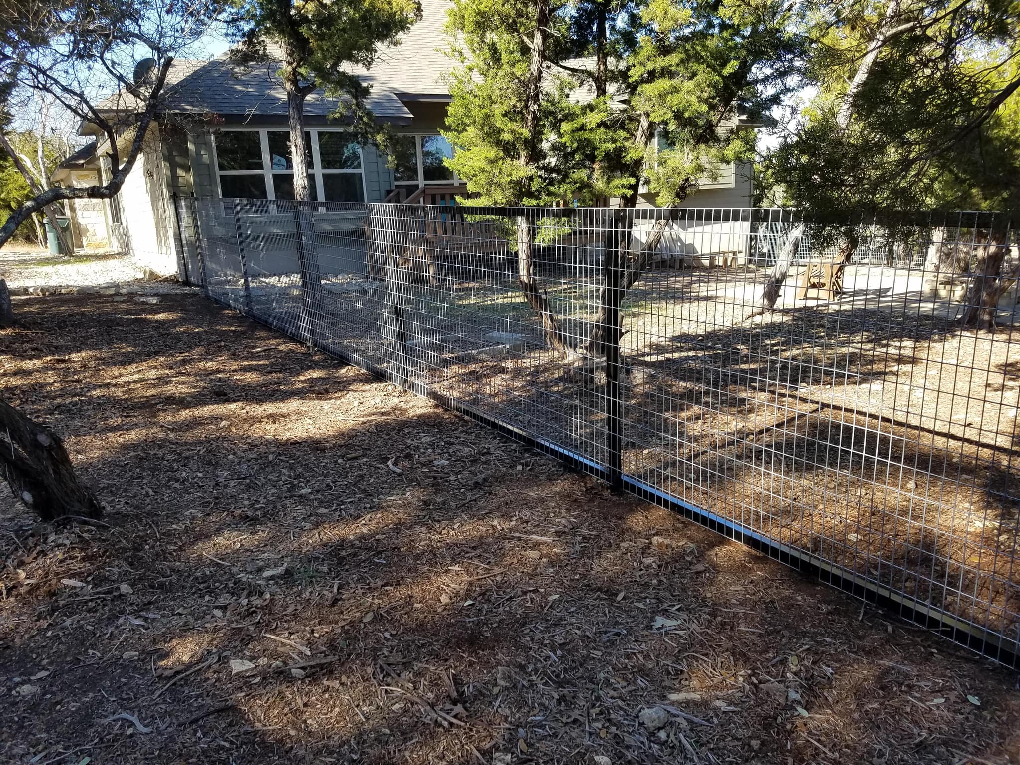 Black steel-framed welded-wire panel fence around a backyard under trees